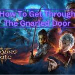 Gnarled Door in BG3