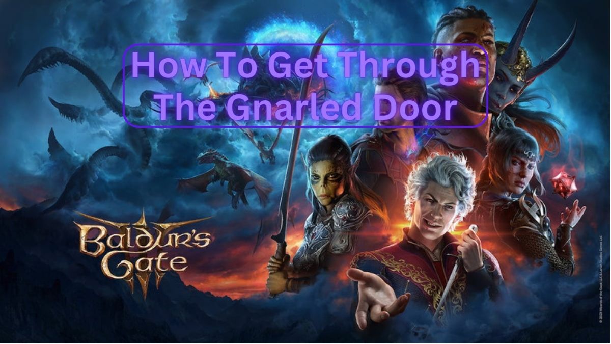 Gnarled Door in BG3