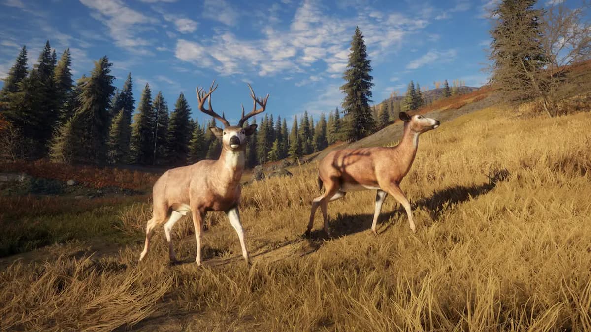 All theHunter Call of the Wild Cheats (Trainer) We Game Daily