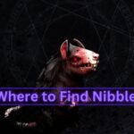 where to find nibbles in V Rising
